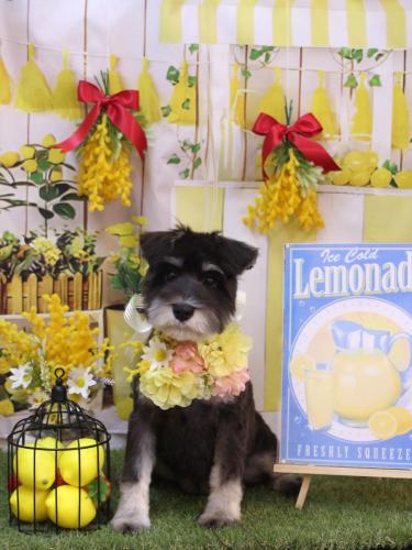 20240404ひじきちゃん